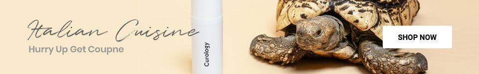 image of Home 01 - HelloExpress - 2