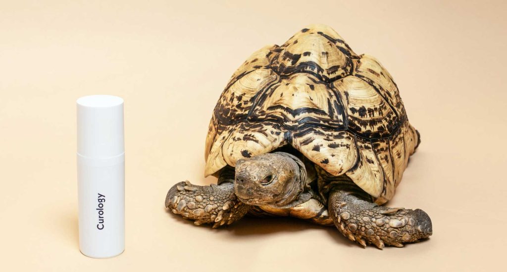 African Nation Are Strugling To Save Their Wildlife 3 image of African Nation Are Strugling To Save Their Wildlife - HelloExpress - 3