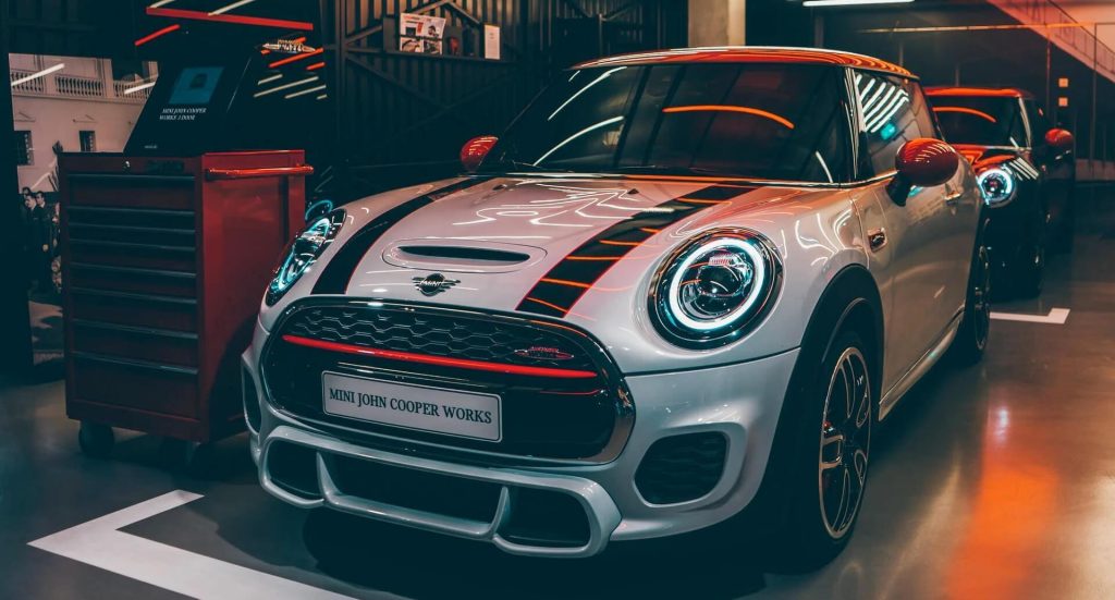 image of Here What’s In Battle field Animal Need Edition Neardummy text - HelloExpress - 3