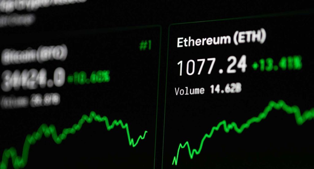 Here What’s In Battle field Animal Need Edition Neardummy text 3 image of Here What’s In Battle field Animal Need Edition Neardummy text - HelloExpress - 3