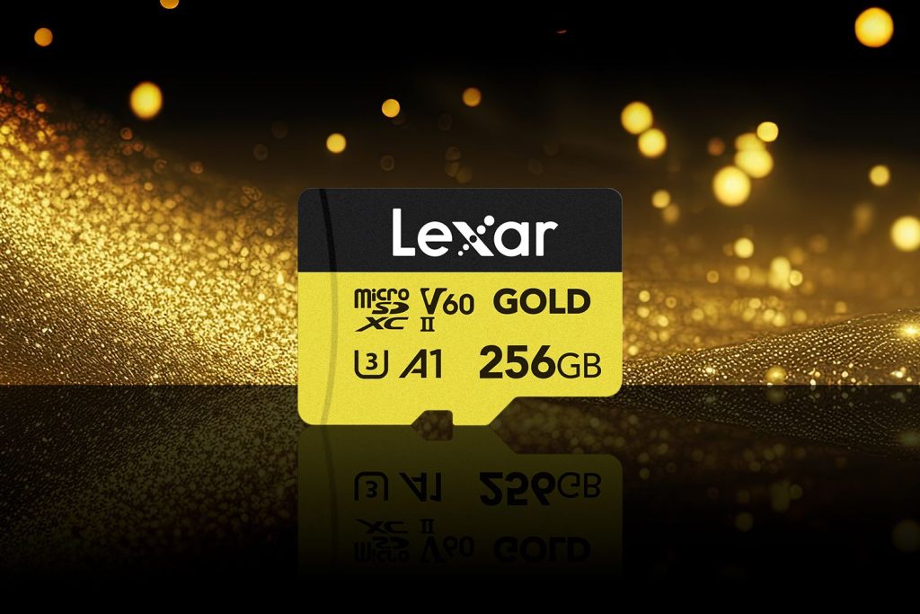 Lexar Gold - Micro SD 256Go V60 - Carte mémoire Lexar