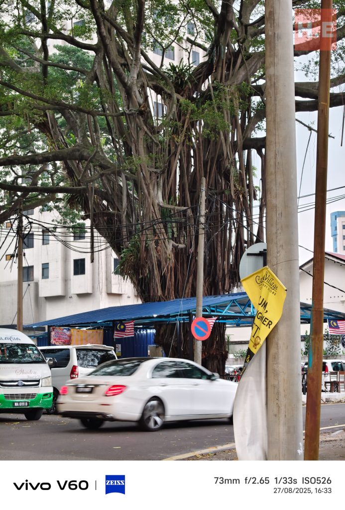 image of vivo V60 Review: A Mid-Range Masterpiece? - HelloExpress - 11