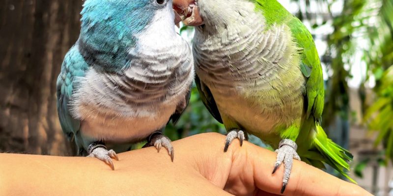 Final Call: HUAWEI XMAGE Awards Malaysia 2025 Submission Window Closing Soon 1 image of Final Call: HUAWEI XMAGE Awards Malaysia 2025 Submission Window Closing Soon - HelloExpress - 1