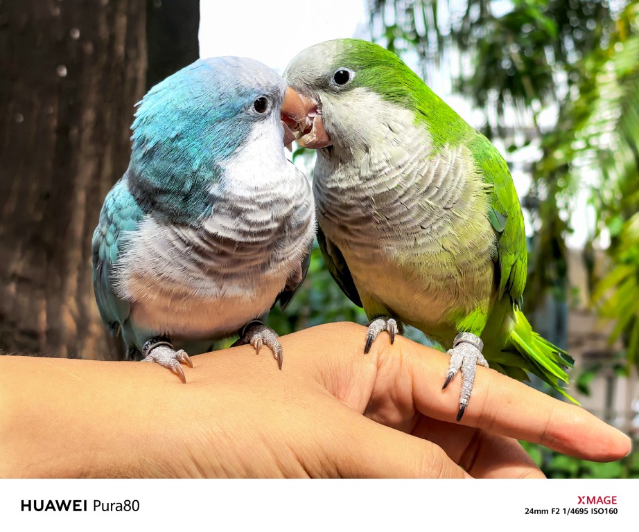 Final Call: HUAWEI XMAGE Awards Malaysia 2025 Submission Window Closing Soon 6 image of Final Call: HUAWEI XMAGE Awards Malaysia 2025 Submission Window Closing Soon - HelloExpress - 6