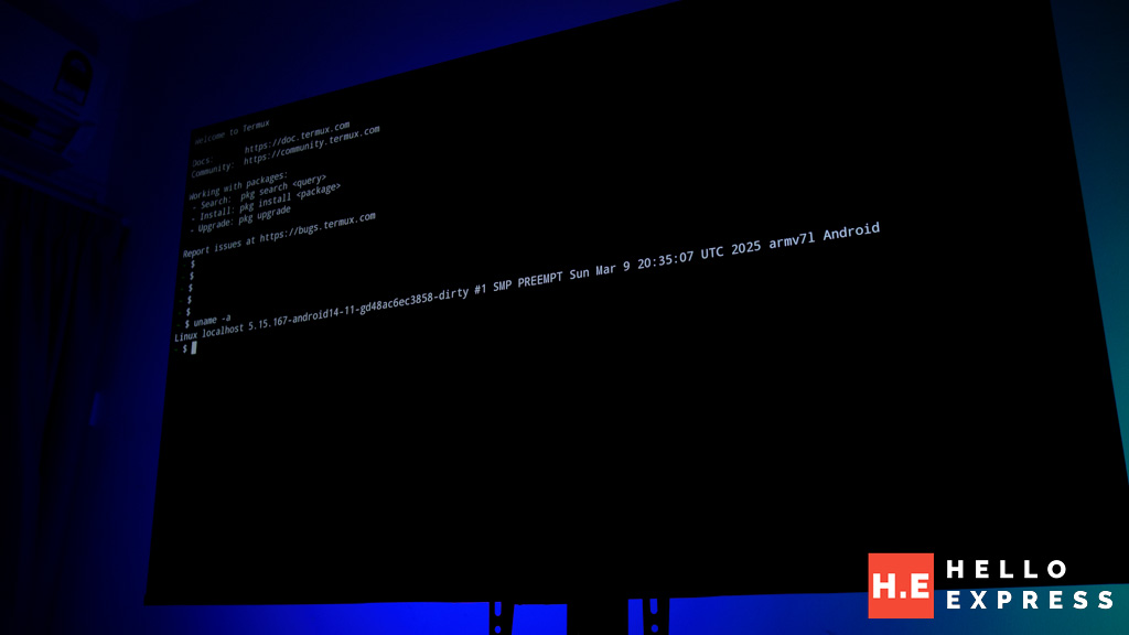 Linux with Termux on Xiaomi TV AA Pro 55"