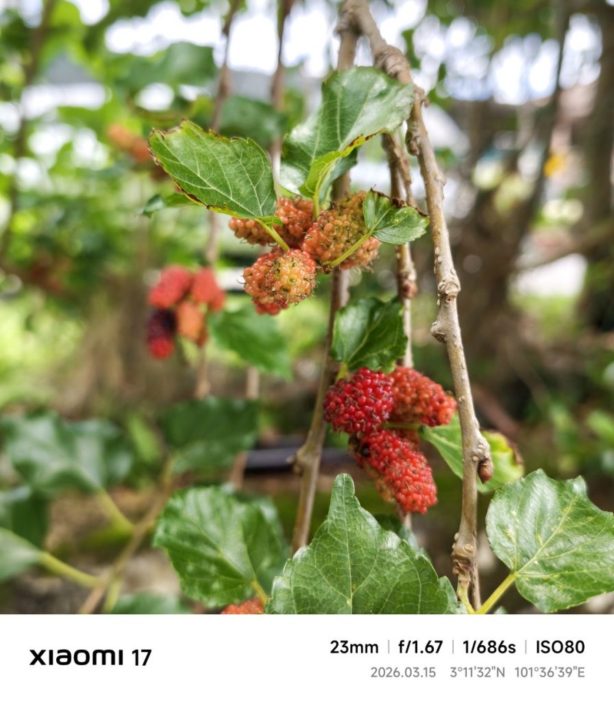 Xiaomi 17 Leica Summilux Lens