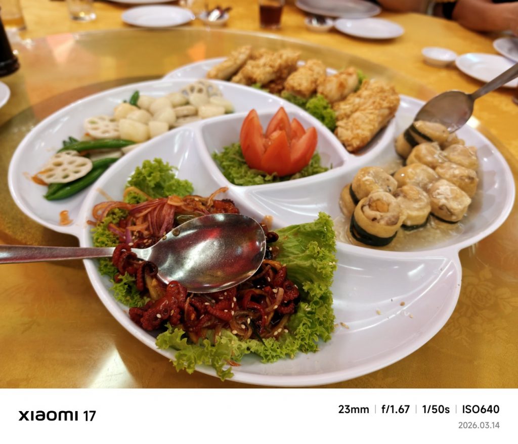 Xiaomi 17 Leica Summilux Lens