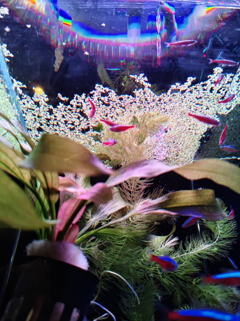 iQOO 15R Review: Flagship Chip, Marathon Battery — The Gaming Phone That Thinks It's a Work Phone 24 image of iQOO 15R Review: Flagship Chip, Marathon Battery — The Gaming Phone That Thinks It's a Work Phone - HelloExpress - 24