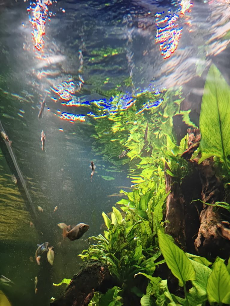 iQOO 15R Review: Flagship Chip, Marathon Battery — The Gaming Phone That Thinks It's a Work Phone 25 image of iQOO 15R Review: Flagship Chip, Marathon Battery — The Gaming Phone That Thinks It's a Work Phone - HelloExpress - 25