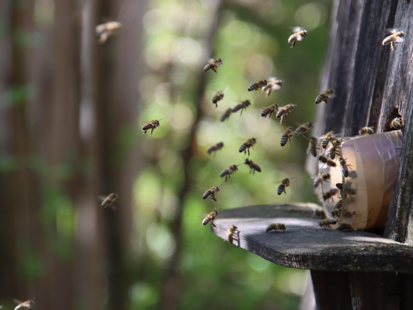 image of Why Hidden Market Mechanics Behind the Record Run May No Longer Be Helping Stocks - HelloExpress - 5