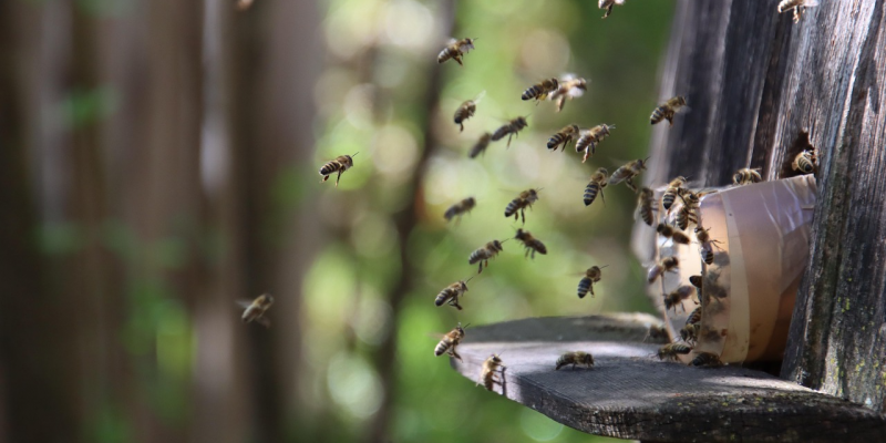 image of Why Hidden Market Mechanics Behind the Record Run May No Longer Be Helping Stocks - HelloExpress - 1