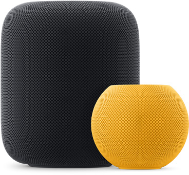 image of Apple's HomePod Is Suddenly Hot Again in the US — What's Changed? - HelloExpress - 4